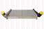 387017968001 - INTERCOOLER KOMPLE