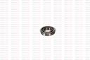 509800045151 - RULMAN, AKS MILI IC