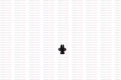 894279989051 - DUBEL