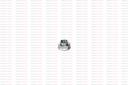 894376261151 - SOMUN, MAHRUTI