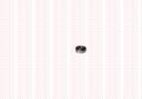 897031741051 - RULMAN, VOLAN