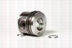 897602800151 - PISTON