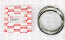 898054995051 - PISTON SEGMANI