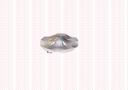 898107318089 - JANT KAPAGI