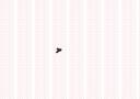 898161062051 - BORU (A)